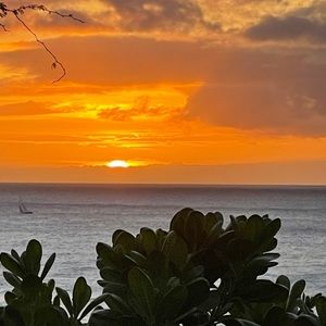 Meet your Posher, Niki